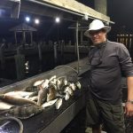man with fish at cleaning station