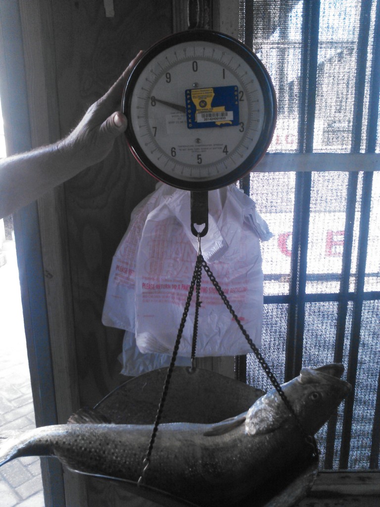 Fish in weight scale